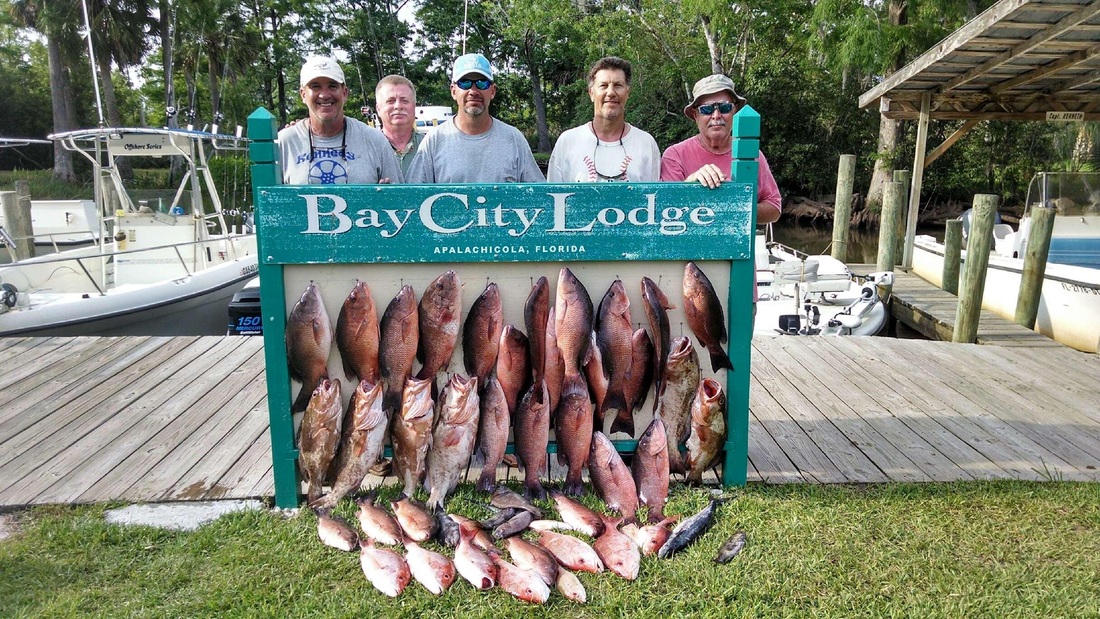 Fishing Information Bay City Lodge Apalachicola, Florida